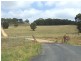 Oberon NSW 2787