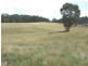 Oberon NSW 2787