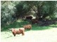 Oberon NSW 2787