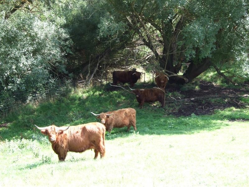 Oberon NSW 2787