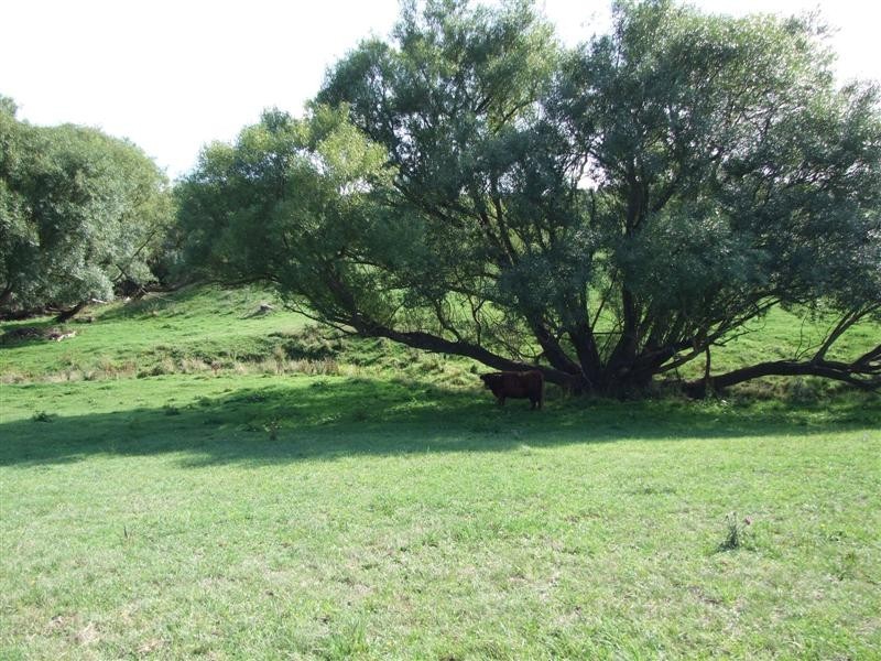 Oberon NSW 2787