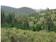 Oberon NSW 2787