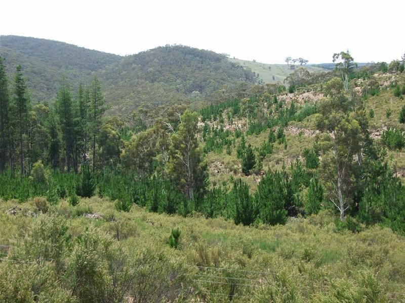 Oberon NSW 2787