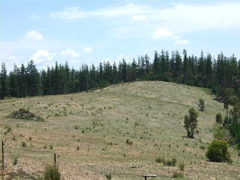 Oberon NSW 2787