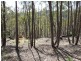 Oberon NSW 2787