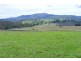 Duckmaloi NSW 2787