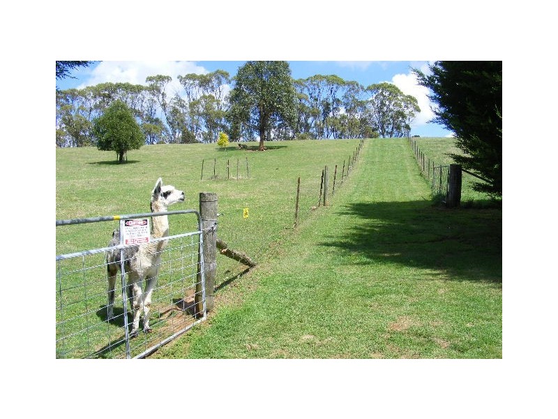 Duckmaloi NSW 2787