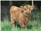 Oberon NSW 2787