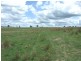 Oberon NSW 2787