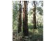 Oberon NSW 2787
