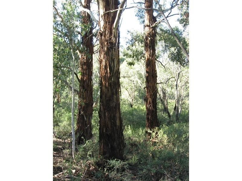 Oberon NSW 2787
