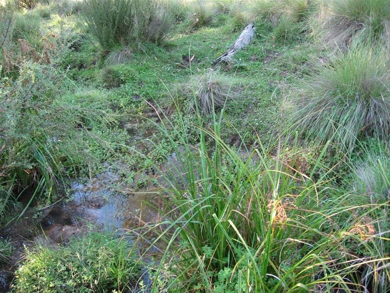 Oberon NSW 2787
