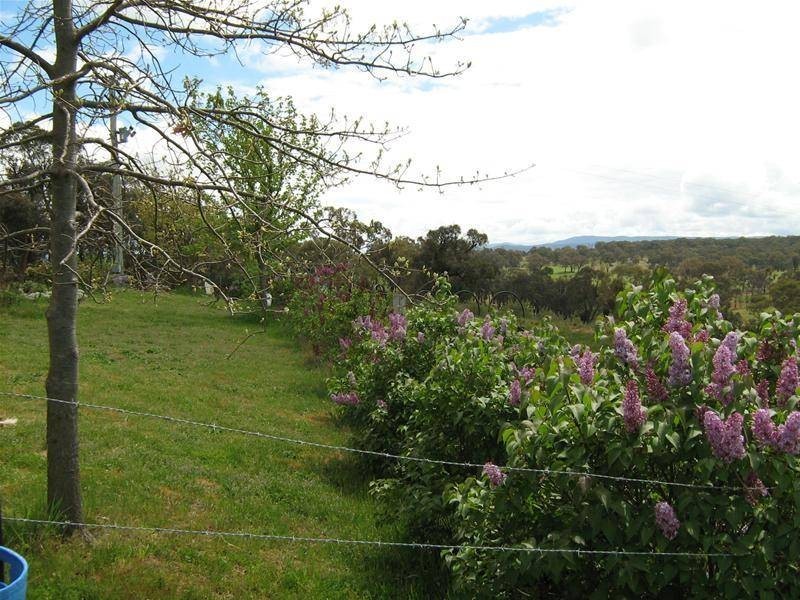 O’connell NSW 2795