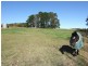 Oberon NSW 2787