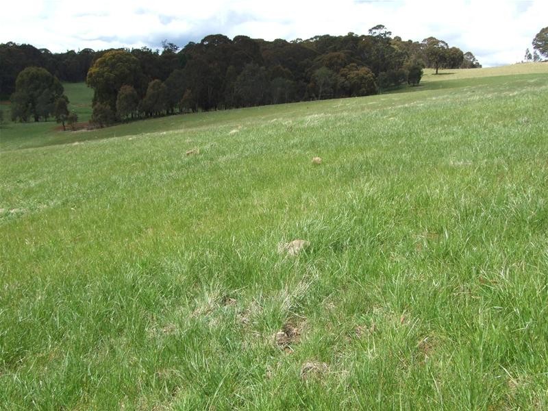 Oberon NSW 2787