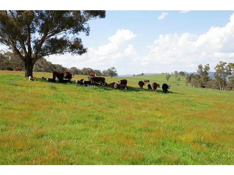 Oberon NSW 2787