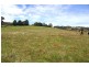 Oberon NSW 2787