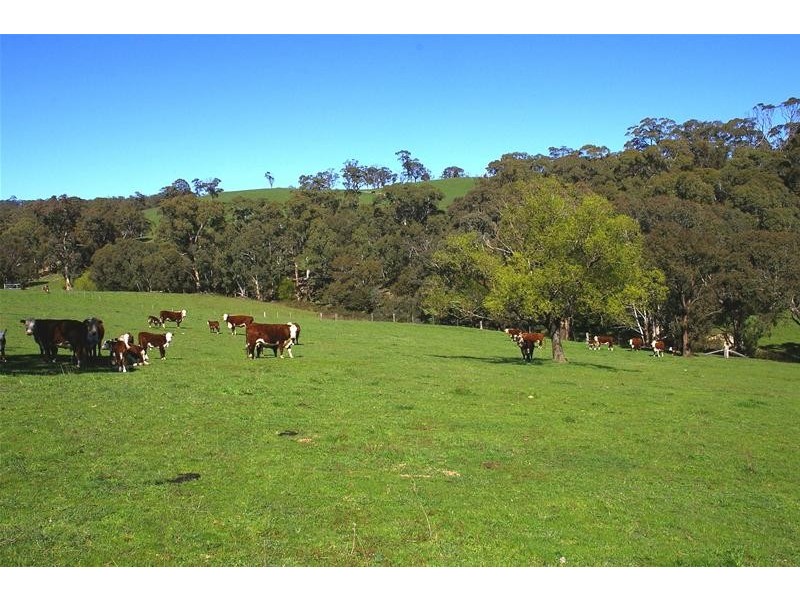 Oberon NSW 2787