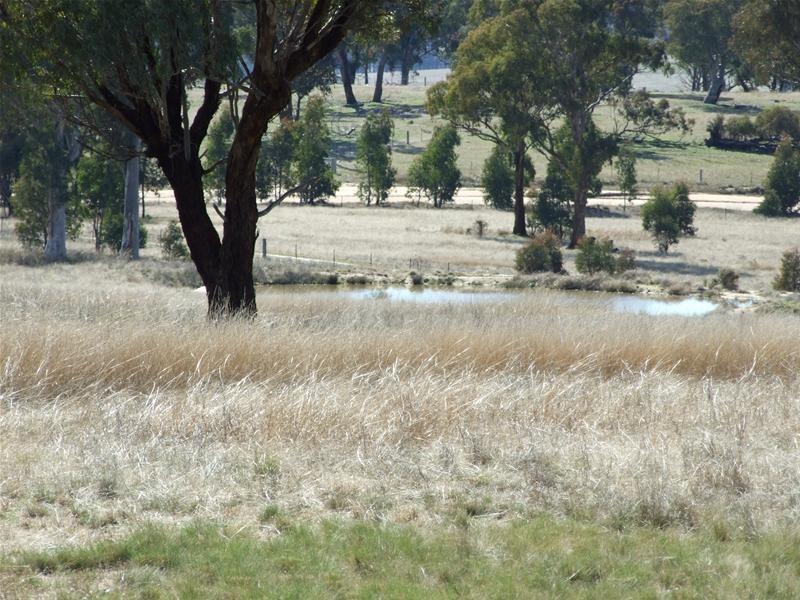 O’connell NSW 2795