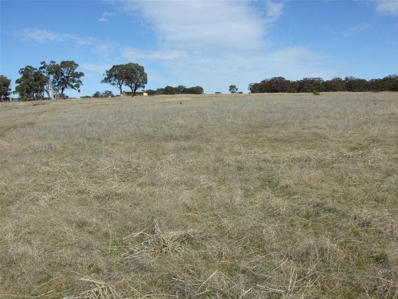 O’connell NSW 2795