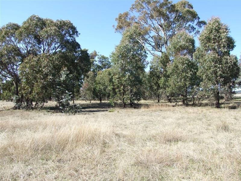 O’connell NSW 2795