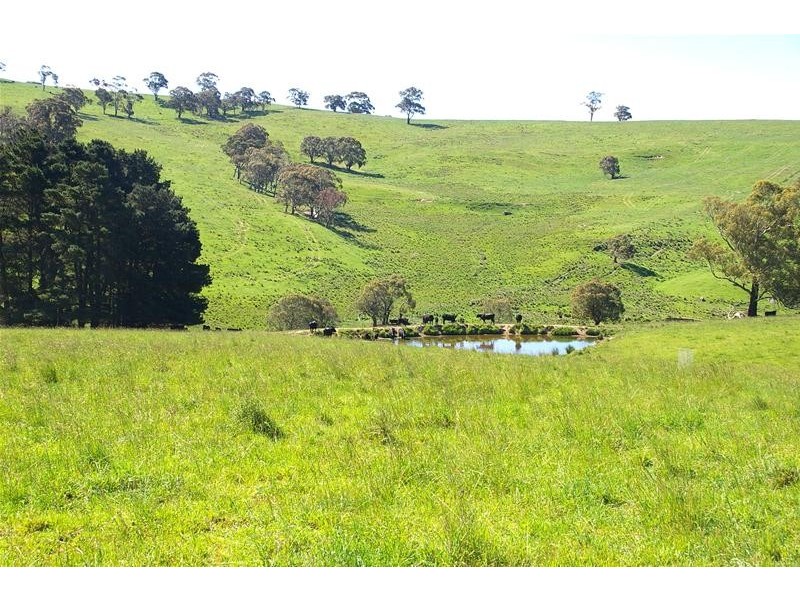 Hampton NSW 2790
