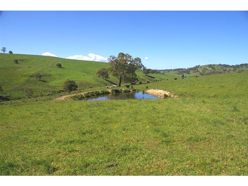 Hampton NSW 2790