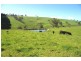 Hampton NSW 2790