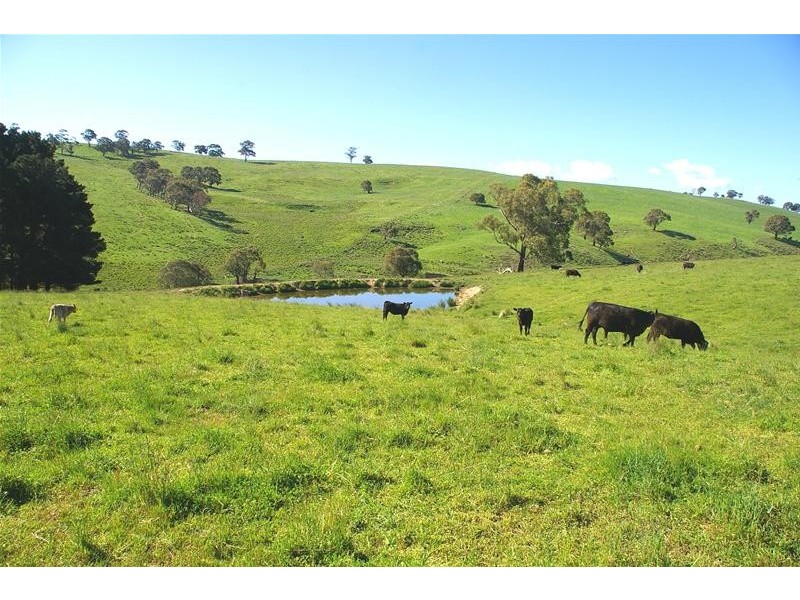 Hampton NSW 2790