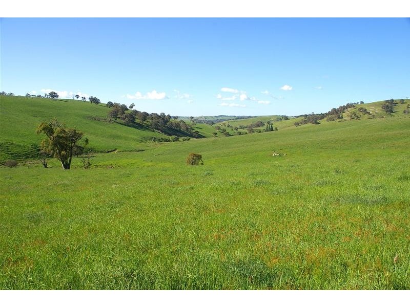 Hampton NSW 2790