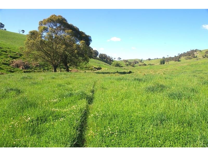 Hampton NSW 2790
