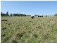 Oberon NSW 2787