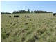 Oberon NSW 2787