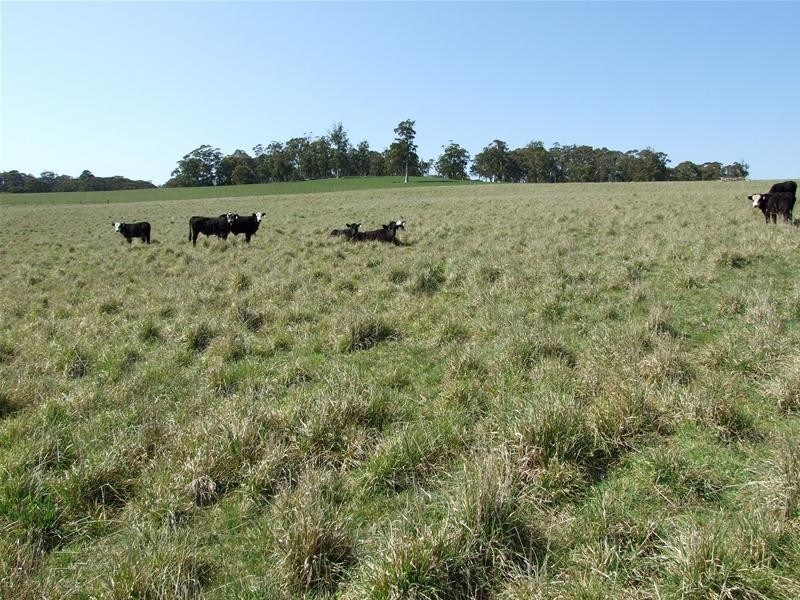 Oberon NSW 2787