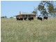 Oberon NSW 2787