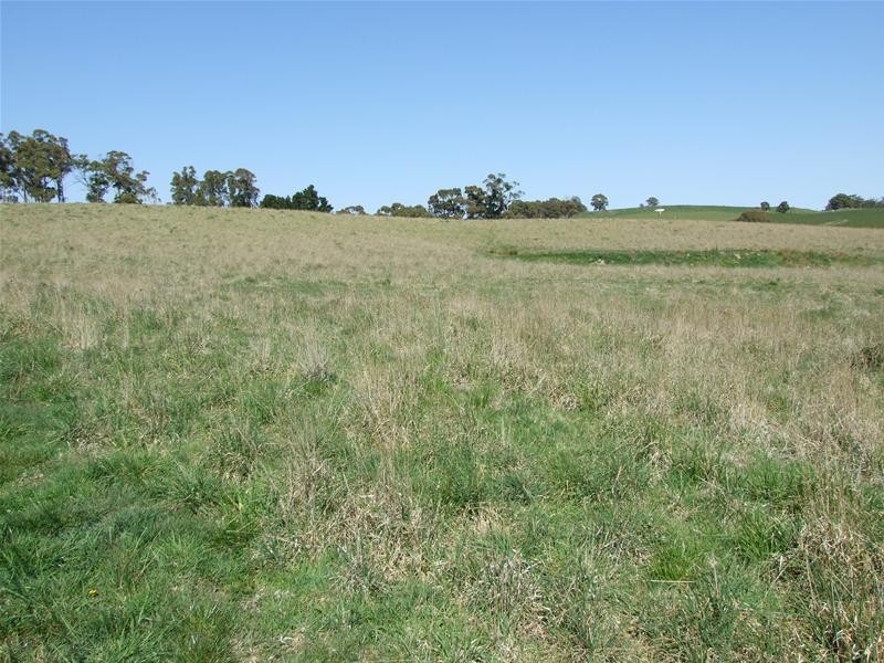 Oberon NSW 2787