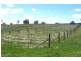 O’connell NSW 2795