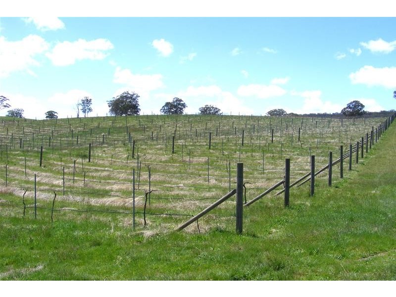 O’connell NSW 2795