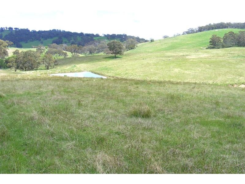 O’connell NSW 2795