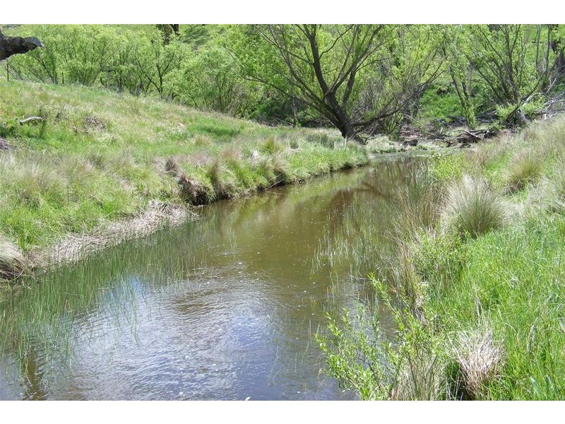 O’connell NSW 2795