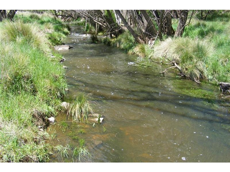 O’connell NSW 2795