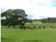 Burraga NSW 2795