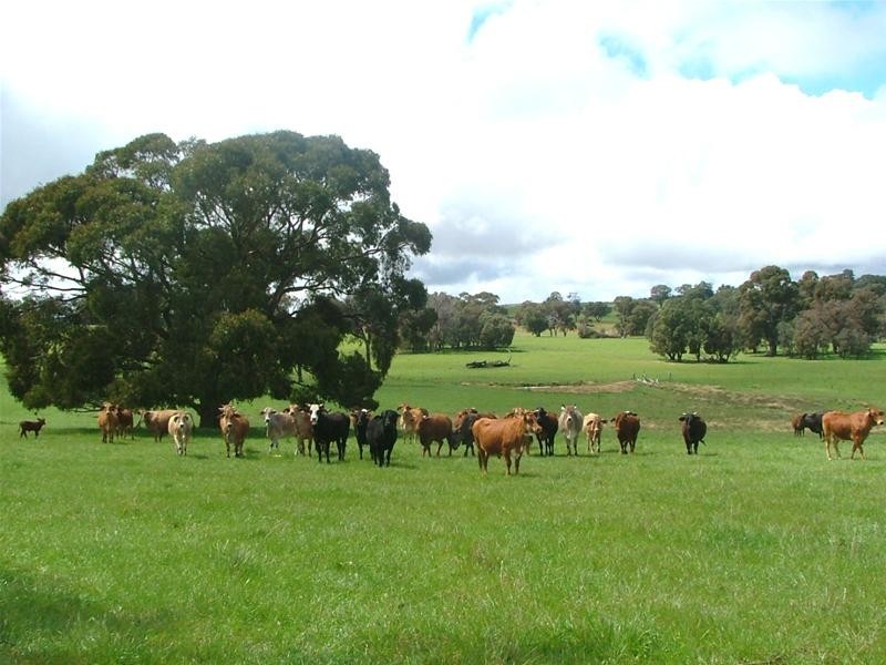 Burraga NSW 2795