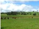 Burraga NSW 2795