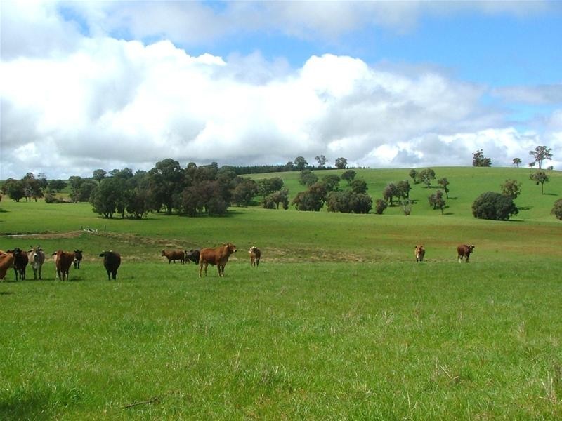 Burraga NSW 2795