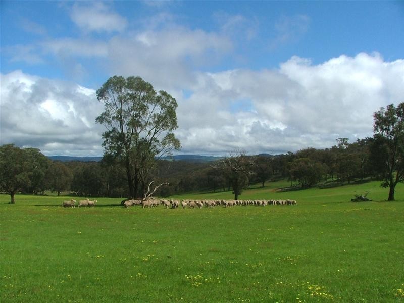 Burraga NSW 2795