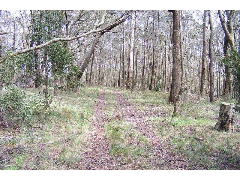 Oberon NSW 2787