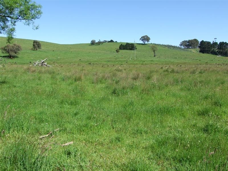 Edith NSW 2787