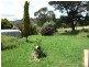 Tarana NSW 2787