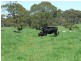 Oberon NSW 2787